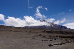 Chimborazo